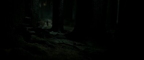 RdM2-Potterish_09866.jpg