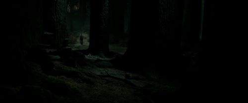 Click to view full size image
==============
RdM2-Potterish_09868.jpg RdM2-Potterish_09868.jpg