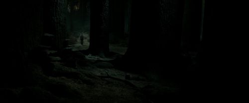 Click to view full size image
==============
RdM2-Potterish_09869.jpg RdM2-Potterish_09869.jpg
