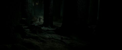 Click to view full size image
==============
RdM2-Potterish_09871.jpg RdM2-Potterish_09871.jpg