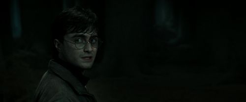 RdM2-Potterish_09874.jpg