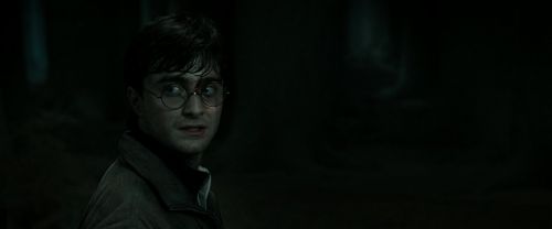 RdM2-Potterish_09875.jpg