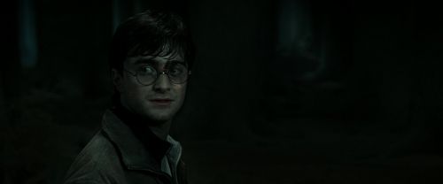 RdM2-Potterish_09882.jpg