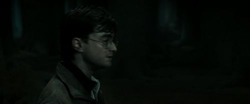 RdM2-Potterish_09883.jpg