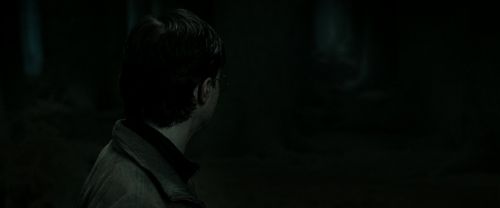 RdM2-Potterish_09884.jpg