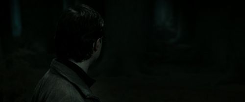 RdM2-Potterish_09885.jpg