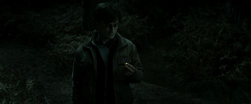 RdM2-Potterish_09891.jpg