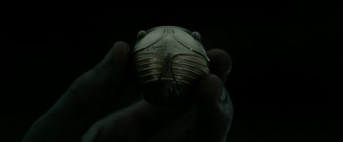 RdM2-Potterish_09898.jpg