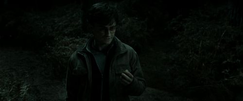 RdM2-Potterish_09907.jpg