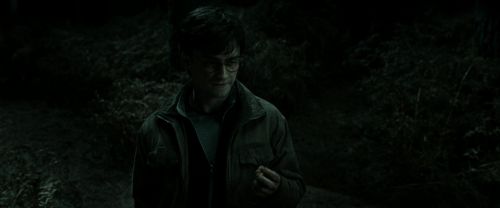 RdM2-Potterish_09912.jpg
