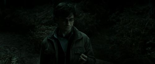 RdM2-Potterish_09916.jpg