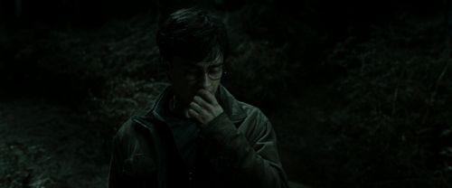 RdM2-Potterish_09925.jpg