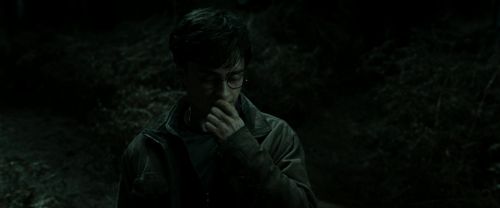 RdM2-Potterish_09926.jpg