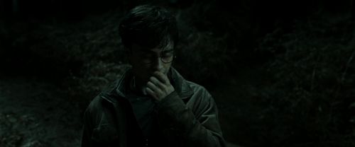 RdM2-Potterish_09928.jpg