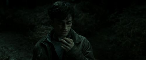 RdM2-Potterish_09934.jpg