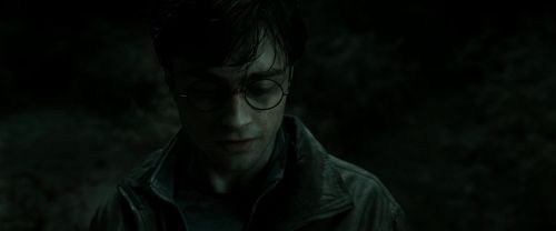 RdM2-Potterish_09956.jpg