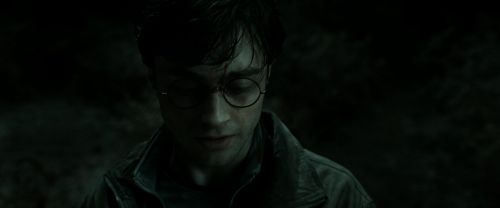 RdM2-Potterish_09958.jpg