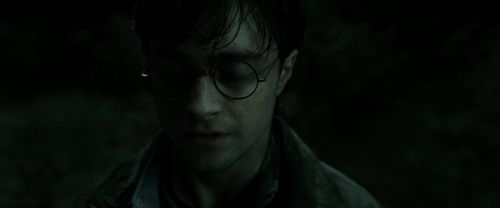 RdM2-Potterish_10007.jpg