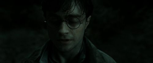 RdM2-Potterish_10008.jpg