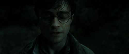 RdM2-Potterish_10012.jpg