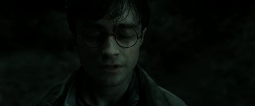 RdM2-Potterish_10013.jpg