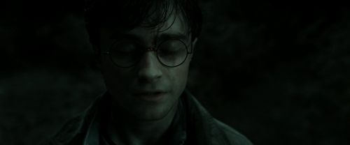 RdM2-Potterish_10016.jpg