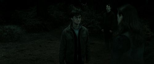 RdM2-Potterish_10071.jpg