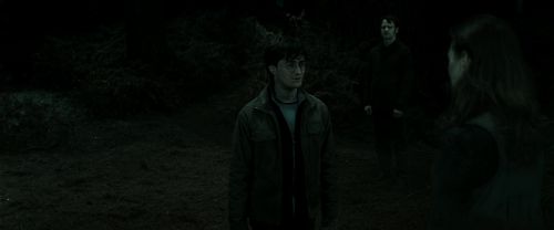RdM2-Potterish_10075.jpg