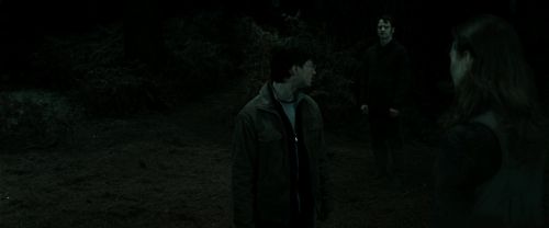 Click to view full size image
==============
RdM2-Potterish_10076.jpg RdM2-Potterish_10076.jpg