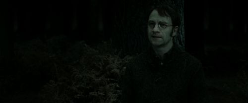 Click to view full size image
==============
RdM2-Potterish_10130.jpg RdM2-Potterish_10130.jpg