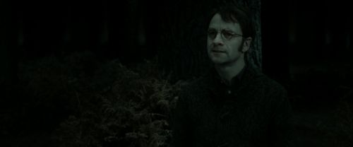 RdM2-Potterish_10134.jpg