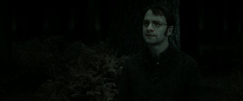Click to view full size image
==============
RdM2-Potterish_10135.jpg RdM2-Potterish_10135.jpg