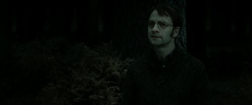 RdM2-Potterish_10136.jpg
