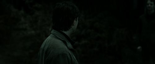 RdM2-Potterish_10138.jpg