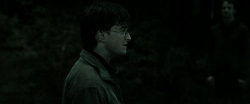 RdM2-Potterish_10141.jpg
