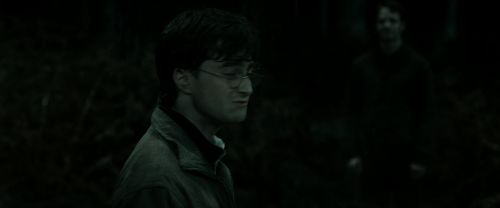 RdM2-Potterish_10147.jpg