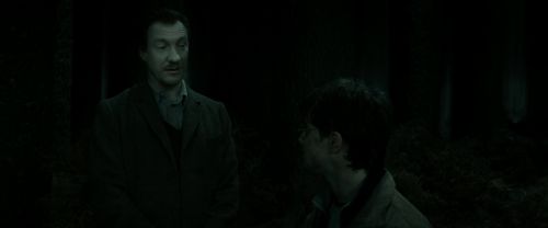 RdM2-Potterish_10160.jpg
