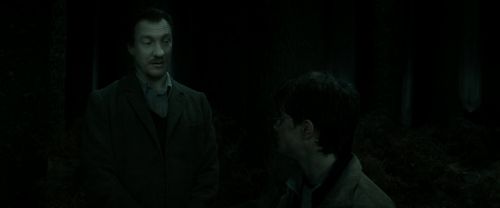 RdM2-Potterish_10161.jpg