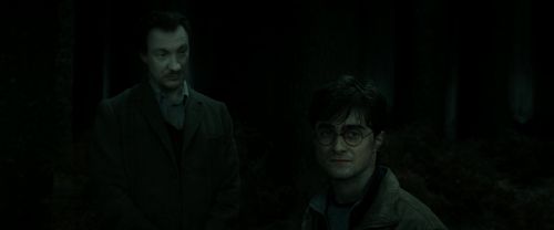 RdM2-Potterish_10172.jpg