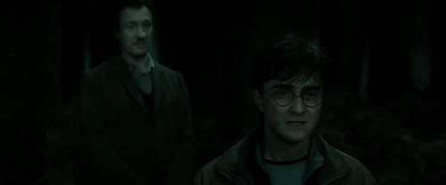 RdM2-Potterish_10183.jpg