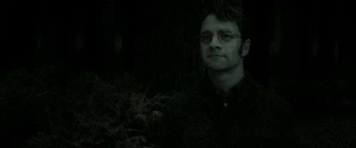 Click to view full size image
==============
RdM2-Potterish_10191.jpg RdM2-Potterish_10191.jpg