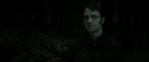 Click to view full size image
==============
RdM2-Potterish_10194.jpg RdM2-Potterish_10194.jpg