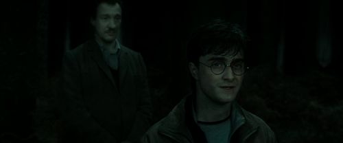 RdM2-Potterish_10202.jpg