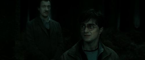 RdM2-Potterish_10206.jpg