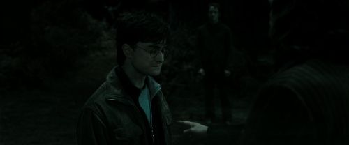 RdM2-Potterish_10217.jpg