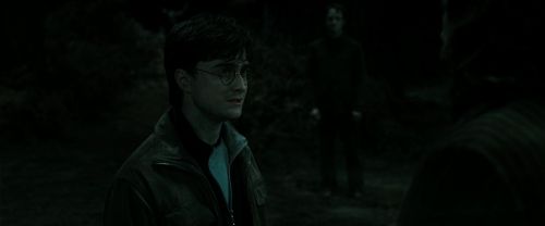 RdM2-Potterish_10222.jpg