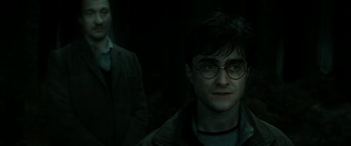 RdM2-Potterish_10237.jpg