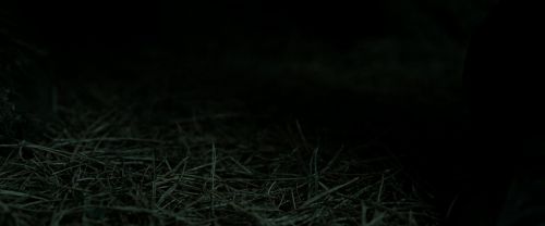 RdM2-Potterish_10264.jpg