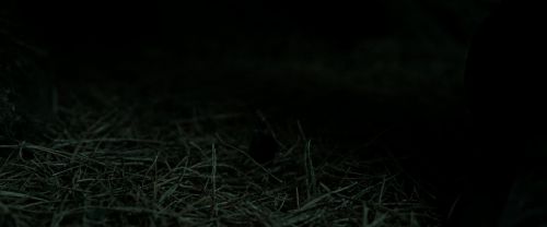 Click to view full size image
==============
RdM2-Potterish_10265.jpg RdM2-Potterish_10265.jpg