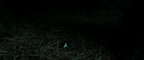 RdM2-Potterish_10268.jpg